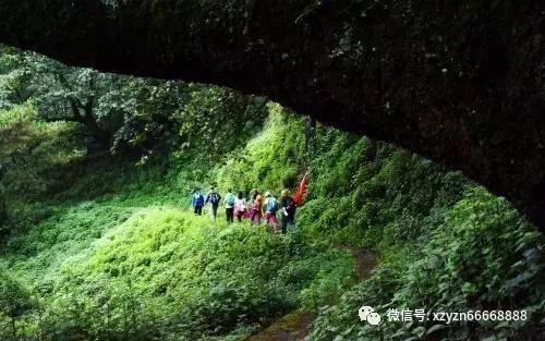 探索问题答案,尽在《放羊的星星》开机,男主颜值高吗?问答平台